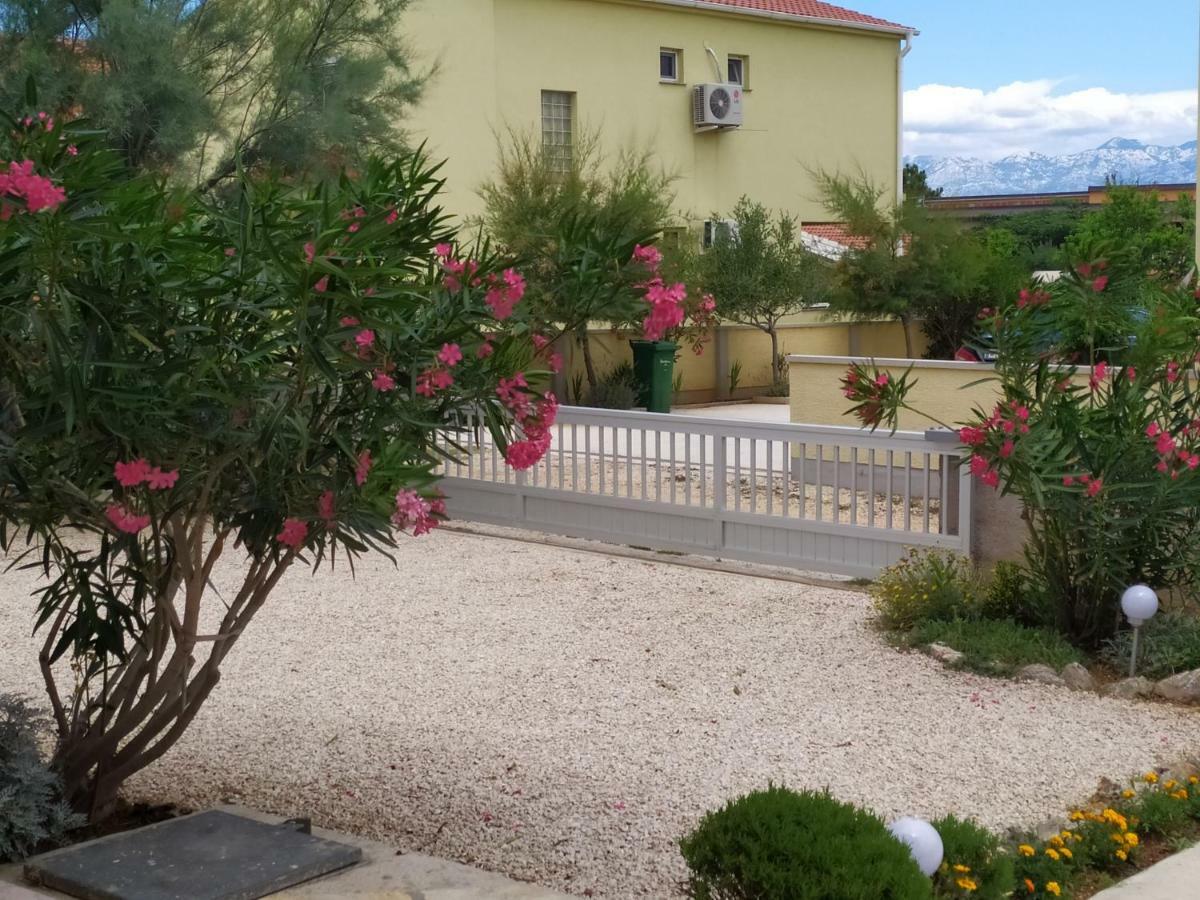 Apartmani Vjeko Vir Dış mekan fotoğraf